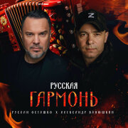 Александр Ванюшкин, Руслан Осташко - Русская гармонь
