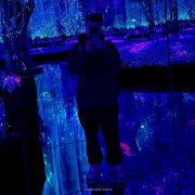 Дипсай - Твоё тело