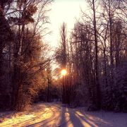 lotaxhahah2016 - Самая