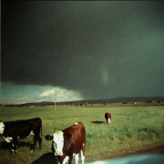 Рудольф Страусов - ЛЕТО