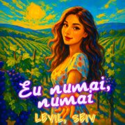 SEIV, LEVIL - Eu numai, numai