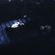 SVSTN, Vnev - Closer