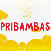 Ваня Втузов - Пососите мой физалис (Прибамбас) (remix by BSWEEDY)