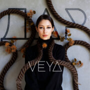 VEYA - ДАР