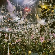 YANA TEN - Танцуй, летай