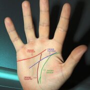 Anna Franskevich - Линии жизни на тёплой руке