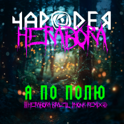 Чародея - Я по полю (Herabora Brazil Phonk Remix)