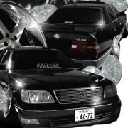 Fortxna - SHAKE THAT