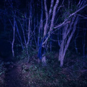 Гречка - Да просвятит нас Бог