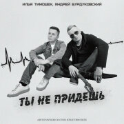 Илья Тимошек, Андрей Бурдуковский - Ты не придешь