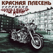 Красная плесень - Заводская дискотека