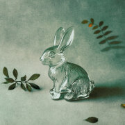 лампабикт - Уши