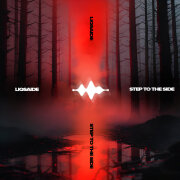 LIQSAIDE - Step to the Side