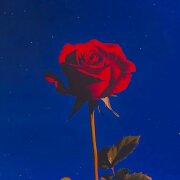 MyinWo - Self-Reflection (Slowed)