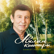 Нафкат Нигматуллин - Авылым каеннары