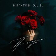 Нигатив, D.L.S. - По Случаю