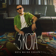 Пять Шагов Успеха - 3 кота