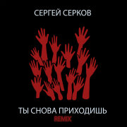 Сергей Серков - Ты снова приходишь