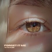Vi-Tayler - Forget It Me