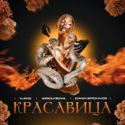VUDOO, MIROLYBOVA, Диман Брюханов - Красавица
