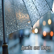 Alimchik - Дожди или ветра