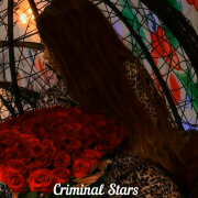 Criminal Stars - Я рыдаю и целую тебя