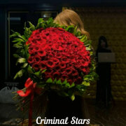 Criminal Stars - Роза алая напомнит о тебе