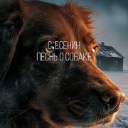 Dj Нейрофомин - Песнь о собаке (С Есенин)