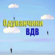 Голубые береты - Одуванчики