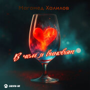 Магамед Халилов - В чем я виноват