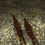 Найтивыход - Ромашковое поле