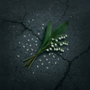 NANSI, SIDOROV - Привет