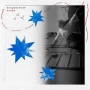 неаринаменя - чайки