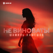 Шамиль Кашешов - Не виноваты