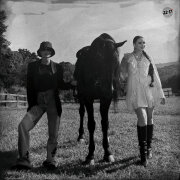 SIIYA, MUZIKA TAMARA - Вороной