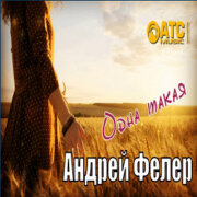 Андрей Фелер - Одна такая