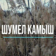 Авторская песня - Шумел камыш