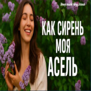 Душевные Ноты - Ты как сирень моя Асель