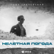 Гоша Грачевский - Нелетная погода