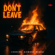 LIQSAIDE, Diamond Maniac - Don't Leave