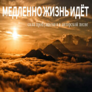 СТРУНЫ ДУШИ - Медленно жизнь идёт