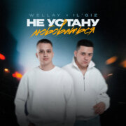 WELLAY, IL'GIZ - Не устану любоваться