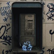 ЕГОР КРИД - Незабудки