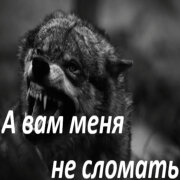 Garik Garik - А вам меня не сломать