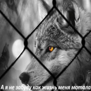 Garik Garik - Я не забуду как жизнь меня мотала