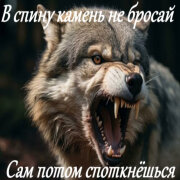 Garik Garik - В спину камень не бросай