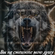 Garik Garik - Вы не смешите мою душу