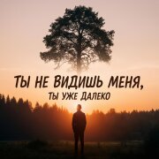 Игорь Тузов - Ты не видишь меня, ты уже далеко