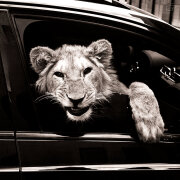 MACAN, Kiliana - Спокойной Ночи