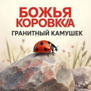 Божья Коровка - Гранитный камушек
